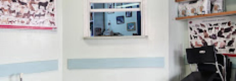 Veterinarian Beit Shemesh